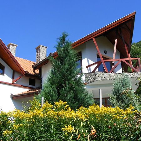 Vila Anastasia Nagyág Kültér fotó