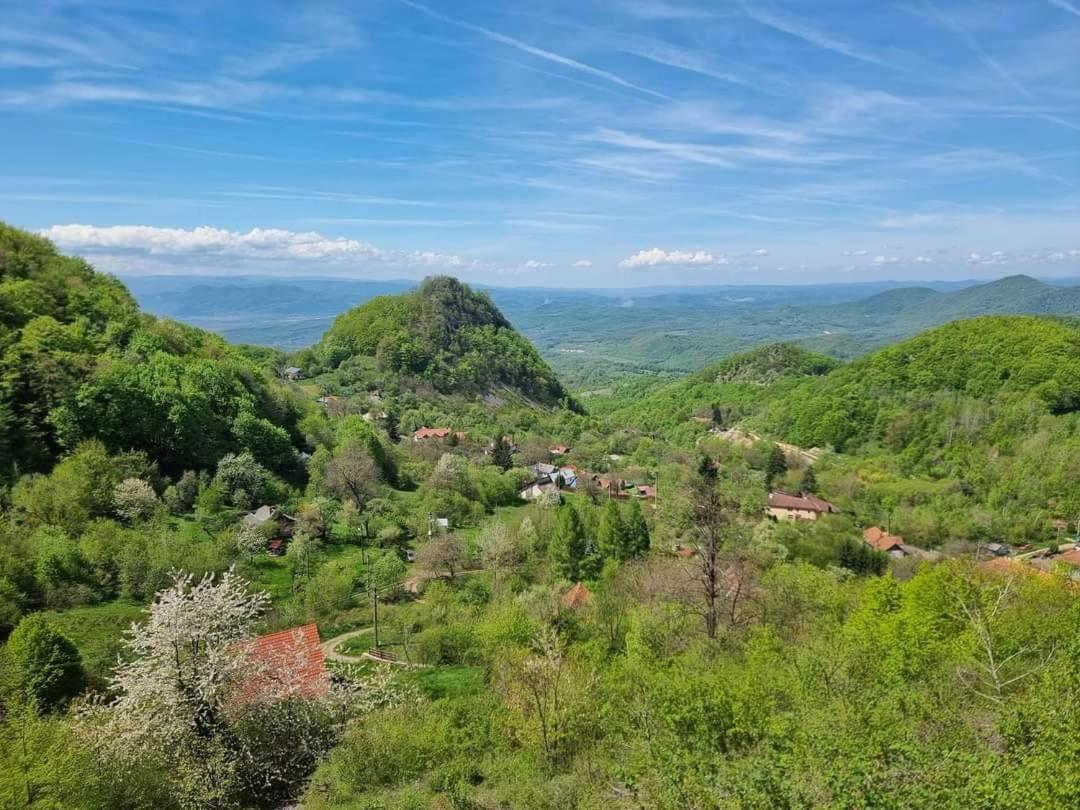 Vila Anastasia Nagyág Kültér fotó