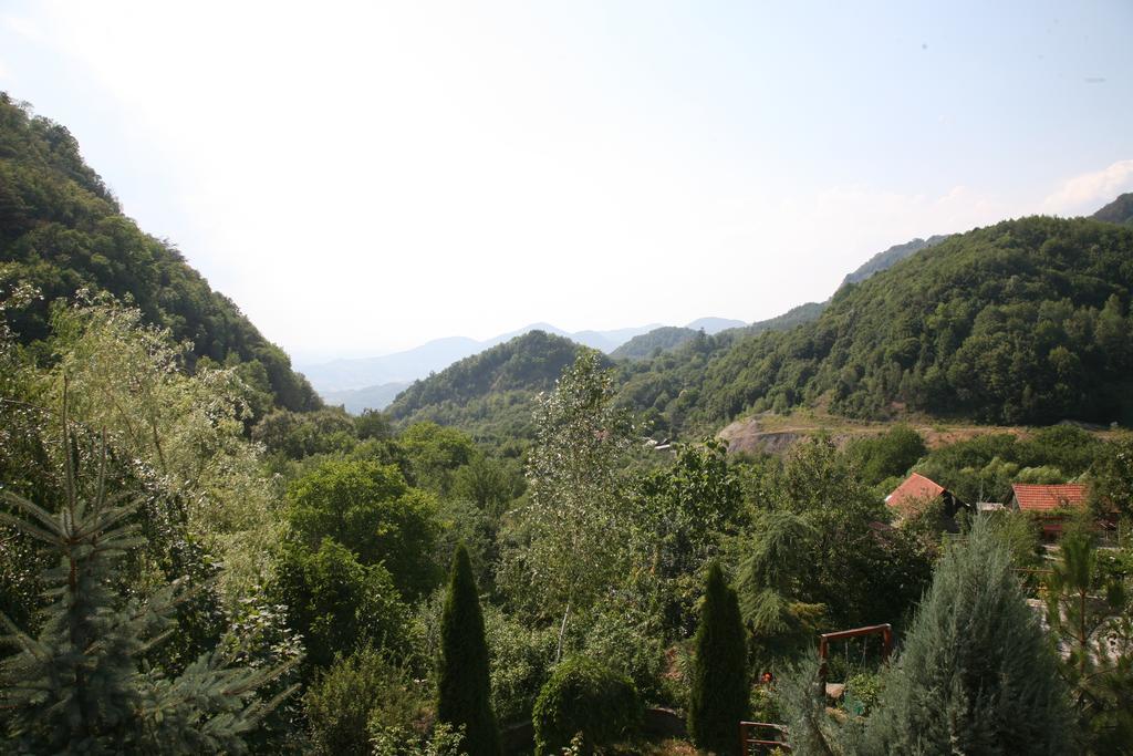 Vila Anastasia Nagyág Kültér fotó