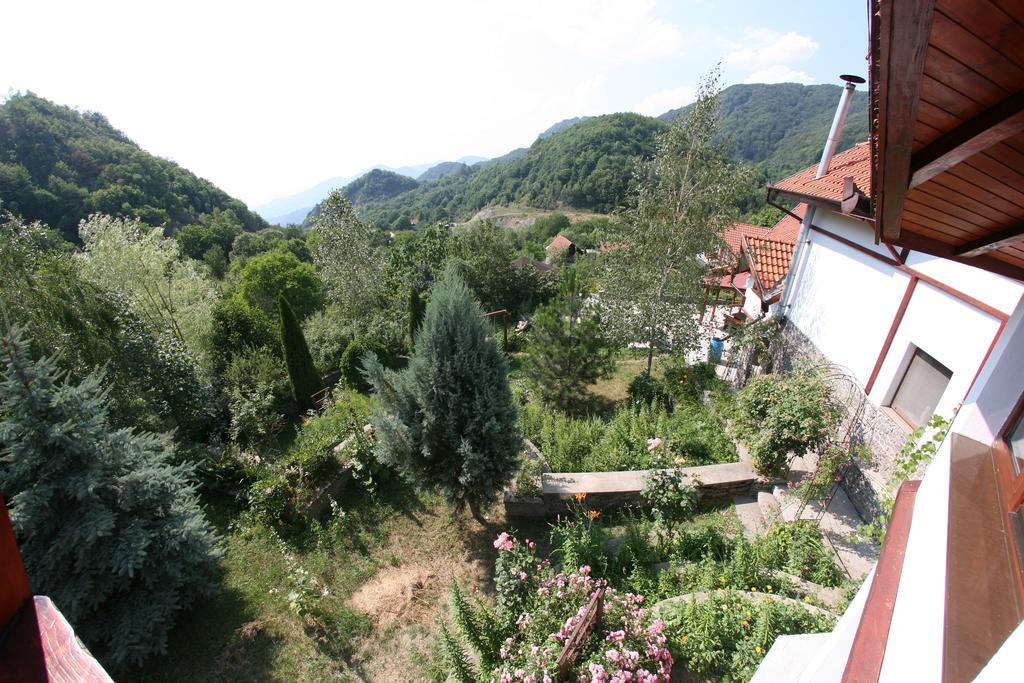 Vila Anastasia Nagyág Kültér fotó